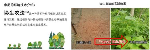 协生农法介绍及实践效果