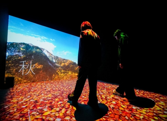 触感沉浸自然空间体验