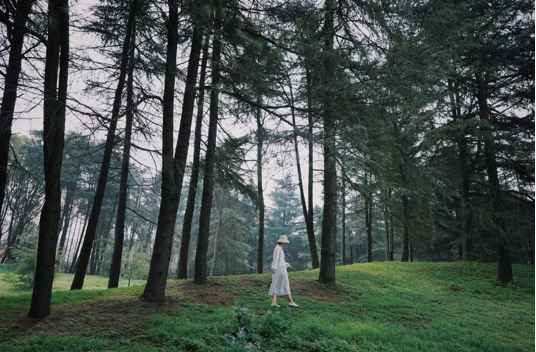 Alpha 7C;FE 24mm F2.8 G;F2.8;1/500s;ISO 100