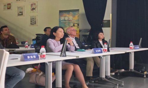 索尼（中国）有限公司电子系统本部 副总裁 彭筱珊女士 