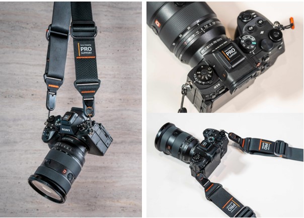 PRO Support的首年会员专属礼