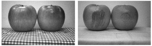 （左：可见光；右：短波红外线）切换光源以获得苹果的表皮和皮下图像信息