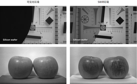 可见光环境和SWIR环境对比